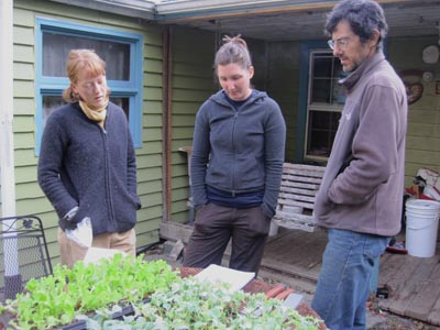 Andrew, Jess and Kim check out some seedlings