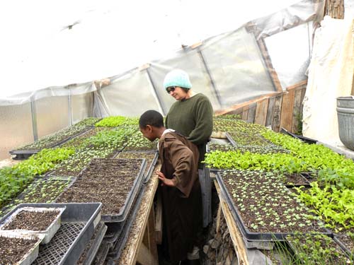 Lauren and Julian in the early spring greenhouse