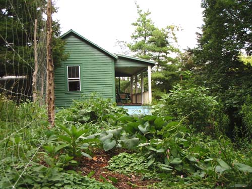 The sweet cabin where Greenstar interns get to live