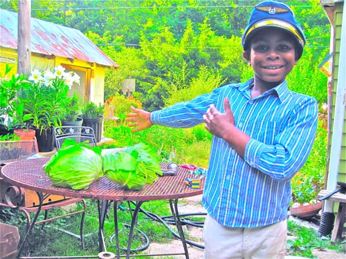 Julian shining bright with the garden's cabbages