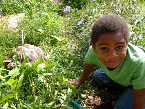 Julian with turtle-friend