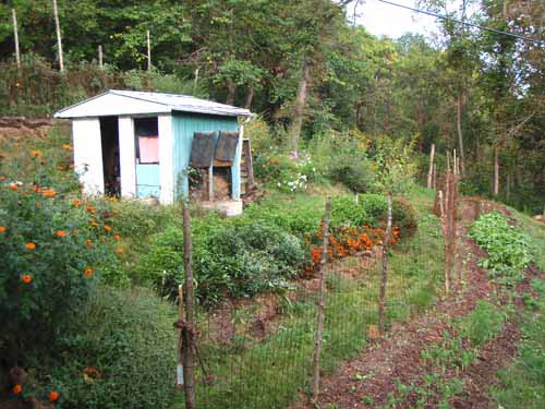 Beautiful terraced garden beds at Greenstar Farm