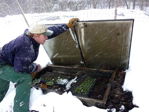JP checks out seedlings during a big snowstorm